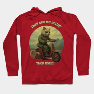 They See Me Rollin', They Hatin' Funny Tabby Cat Hoodie